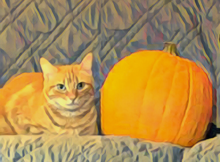 Ginger cat celebrating October cat awareness and holidays