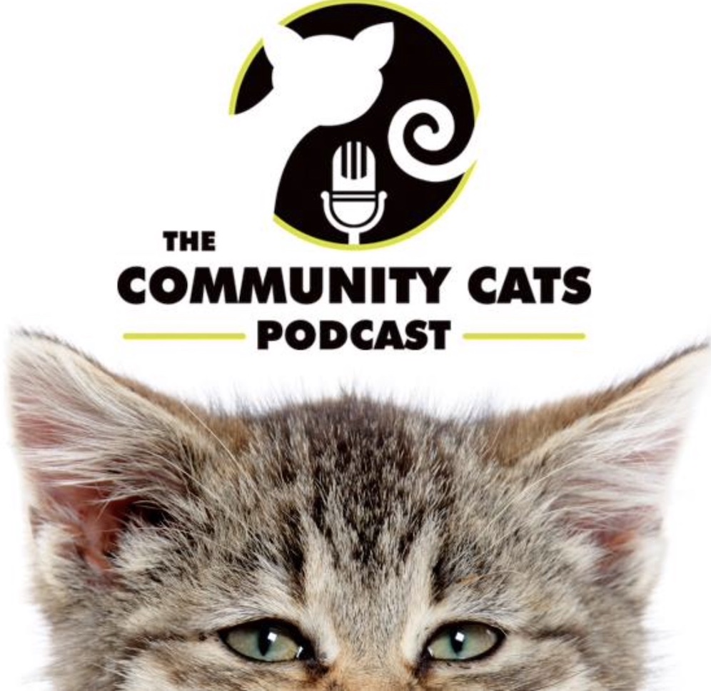 community cats post