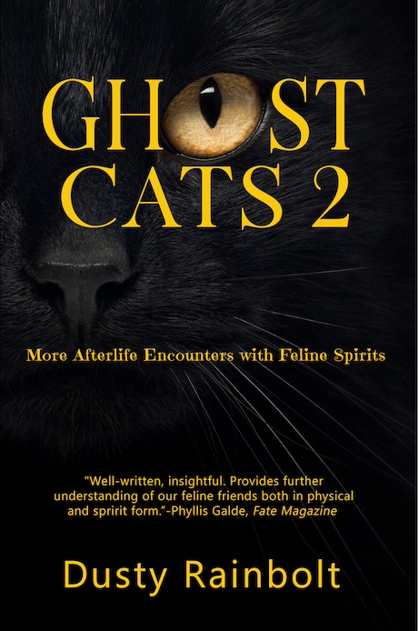 ghost cats