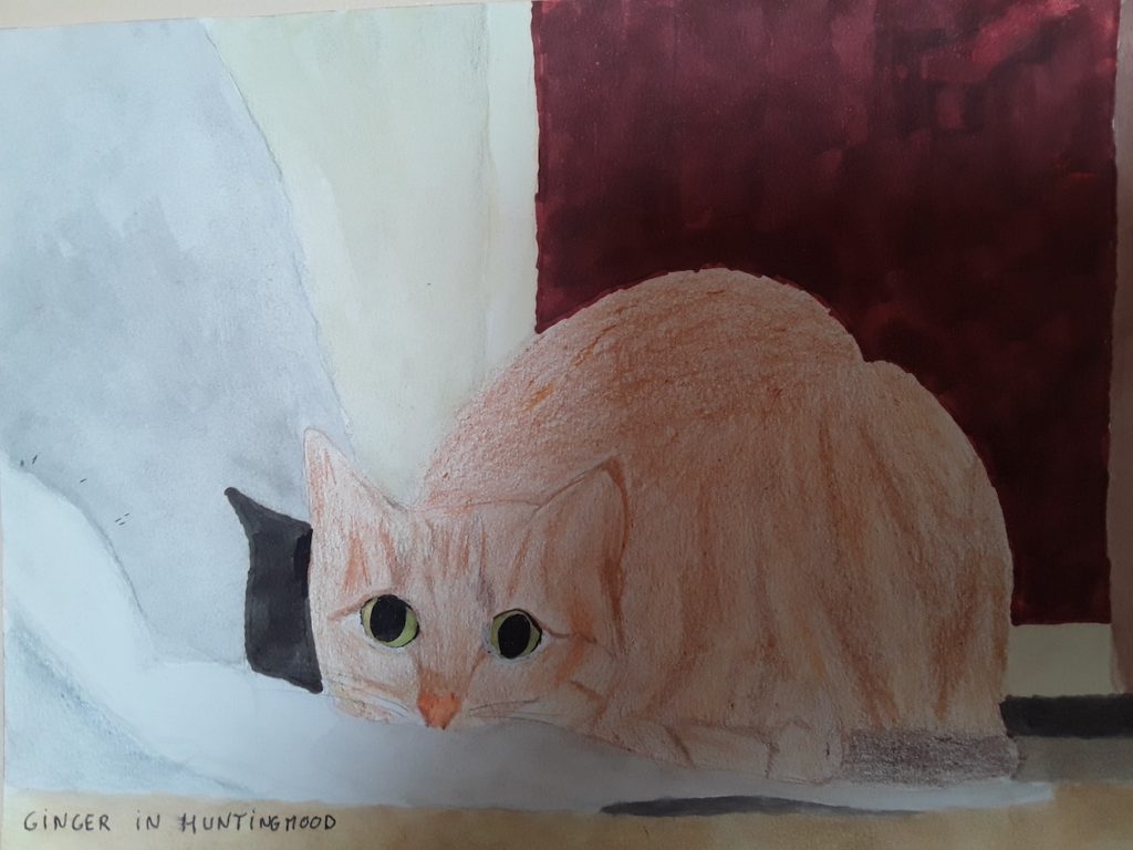 Ginger in hunting mood by Flo Boutard watercolor 2024