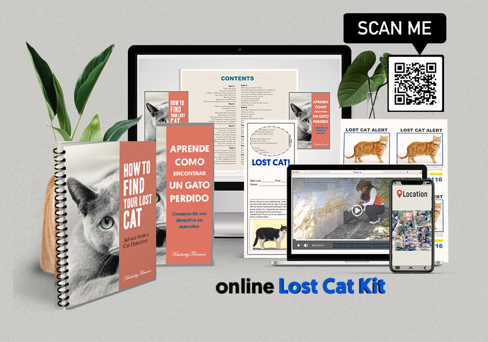 Lost Cat Kit