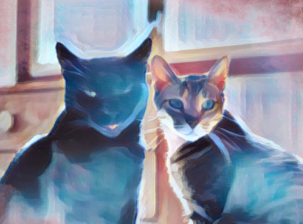 adorable rescue cats on International Rescue Cat Day