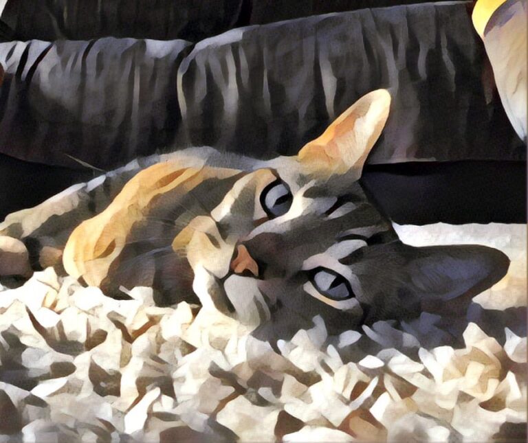 Edited in Prisma app with Gothic