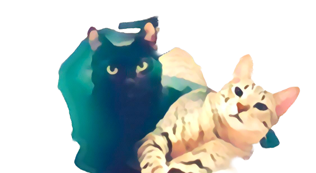 Cute cats celebrate June holiday best friends day