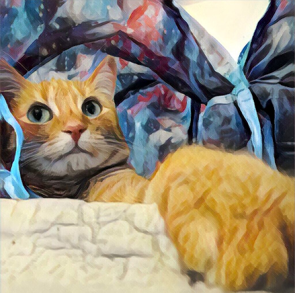 Cute Ginger cat in toy chute