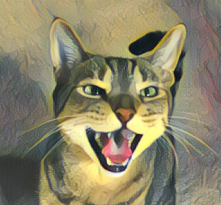 cat with mouth open as if talking