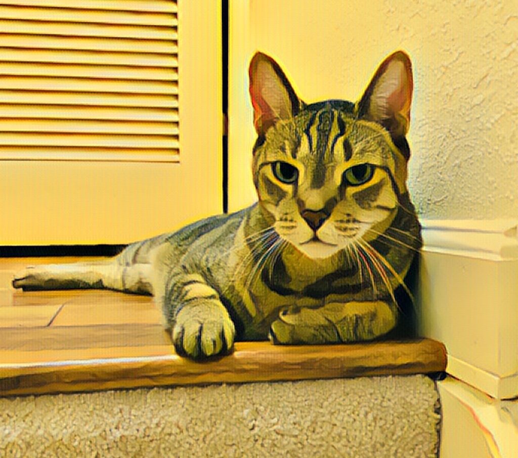 tabby cat celebrating April holidays calendar featuring awareness and adoption days