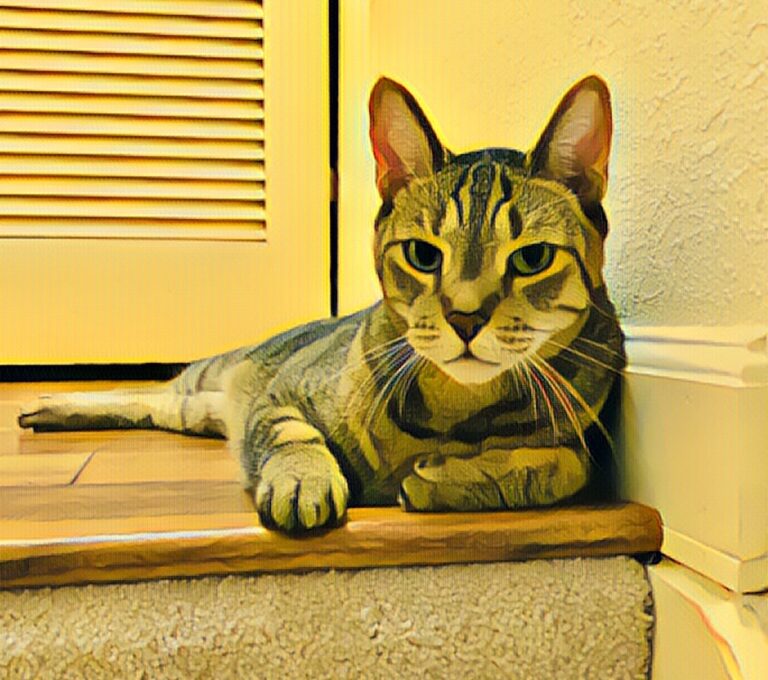 tabby cat celebrating April holidays calendar featuring awareness and adoption days